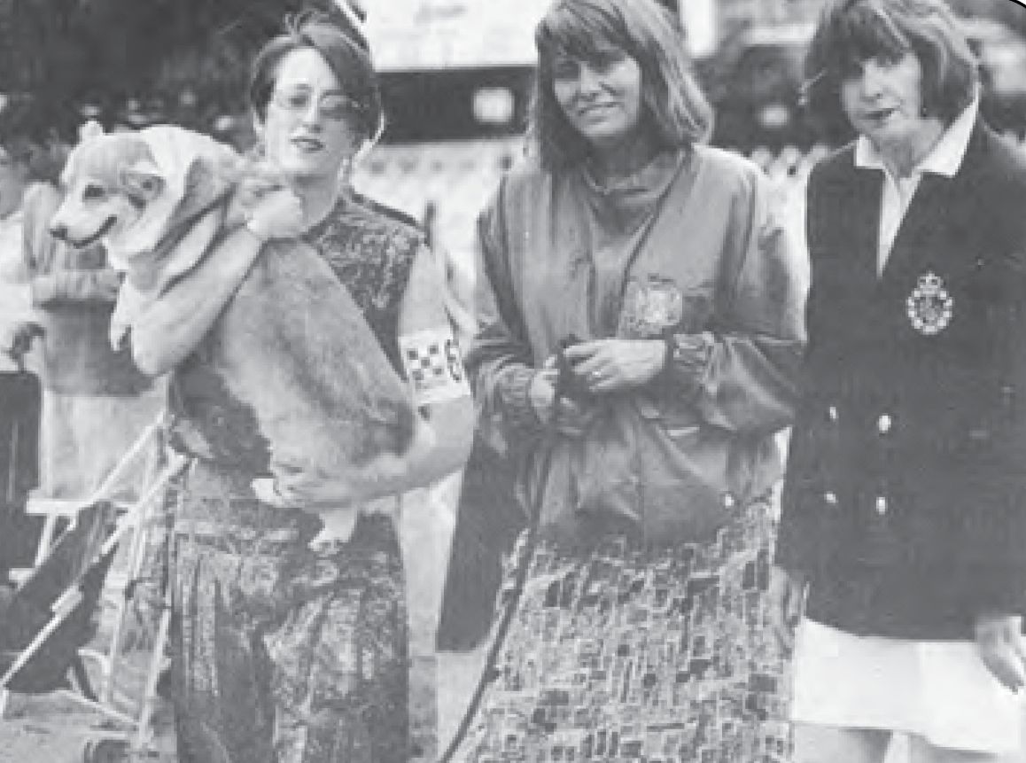 Greenwich and Longshore Southport Kennel Clubs